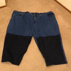 NWOT Universal standard Ravi colorblock jeans